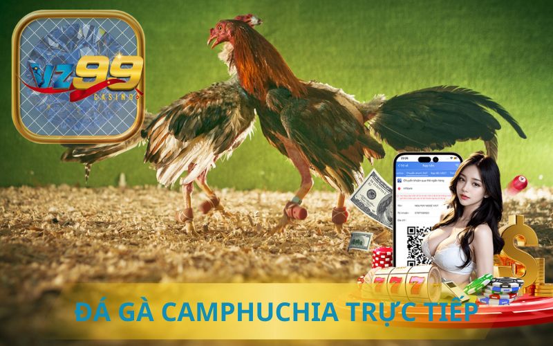 XEM TRỰC TIẾP ĐÁ GÀ CAMPUCHIA TẠI VZ99